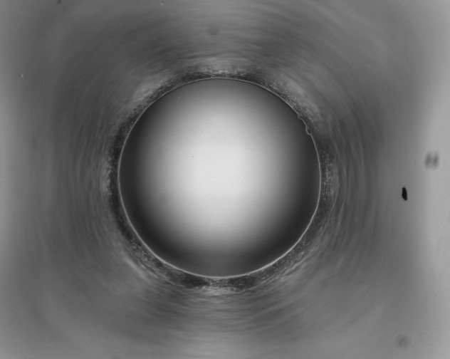 X0000096190255200802011413