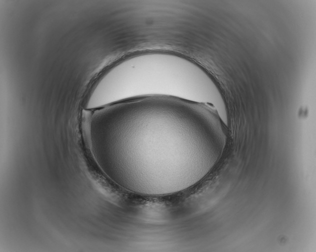 X0000096190256200802011413