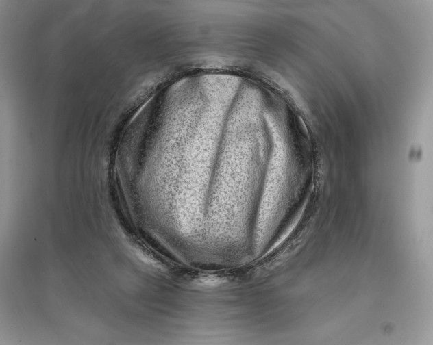 X0000096190257200802011413