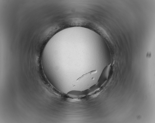 X0000096190258200802011413