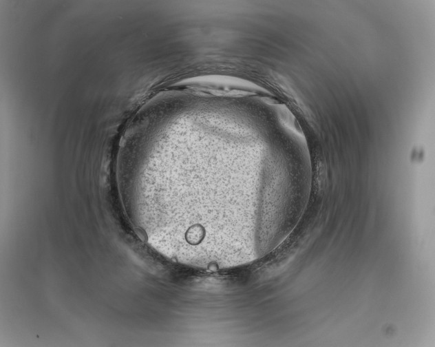 X0000096190259200802011413