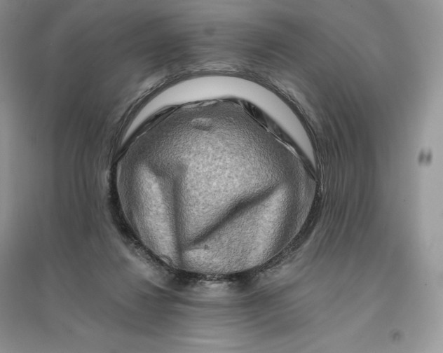 X0000096190260200802011413