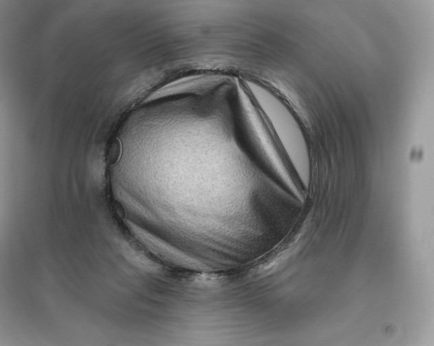 X0000096190261200802011413