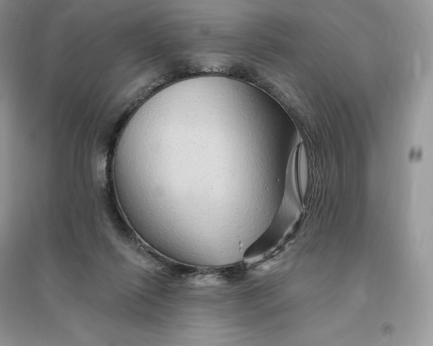 X0000096190262200802011413