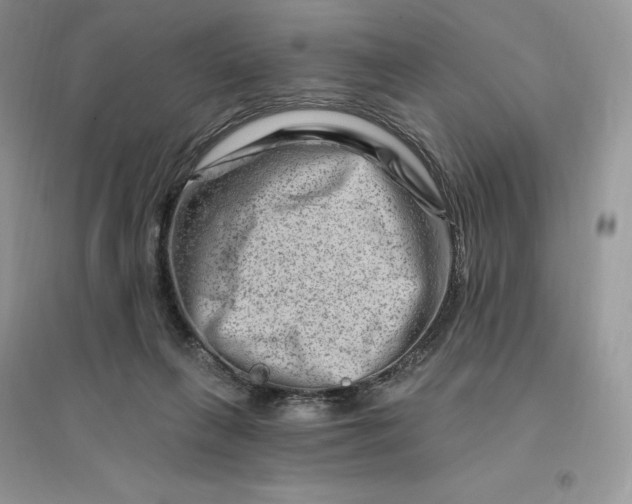 X0000096190263200802011413