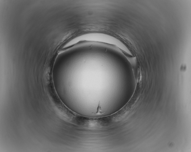 X0000096190264200802011413