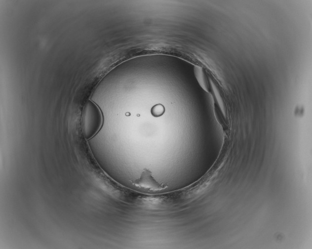 X0000096190265200802011413