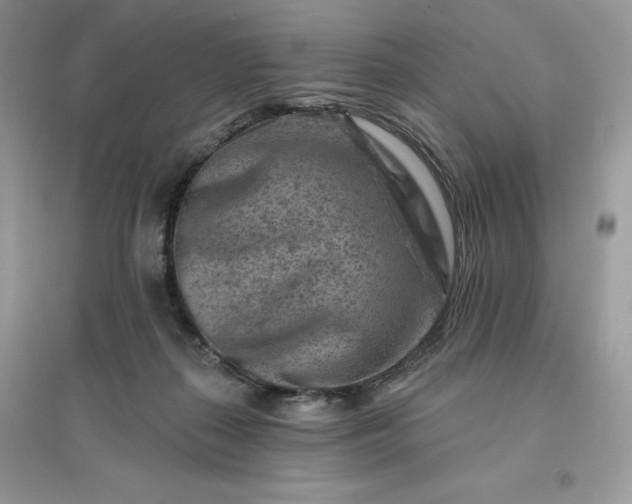 X0000096190267200802011414