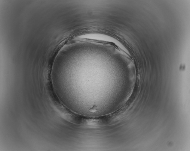 X0000096190268200802011414