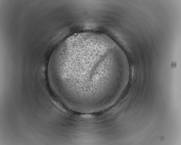 X0000096190269200802011414