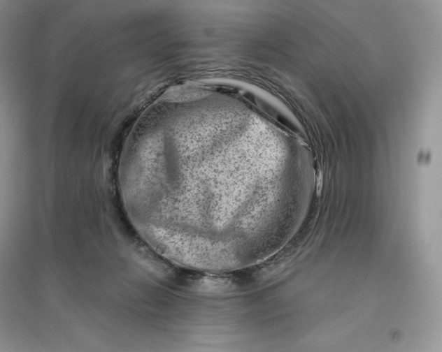 X0000096190270200802011414