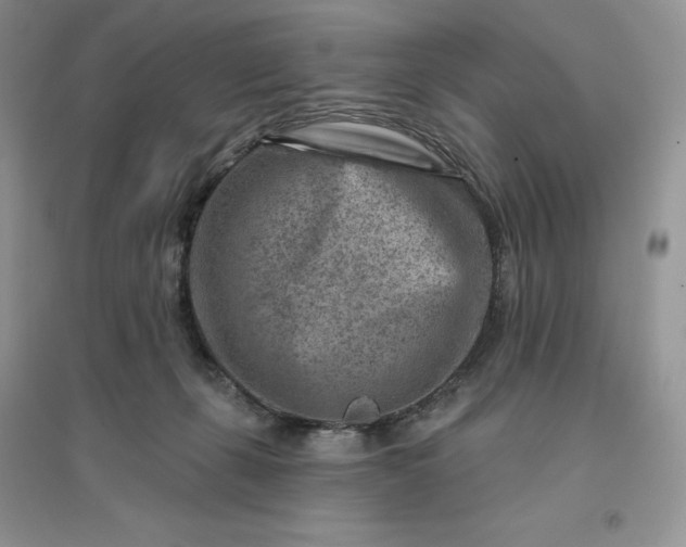 X0000096190271200802011414