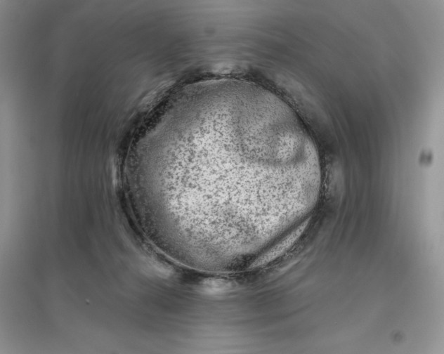 X0000096190272200802011414