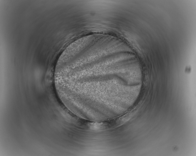 X0000096190273200802011414