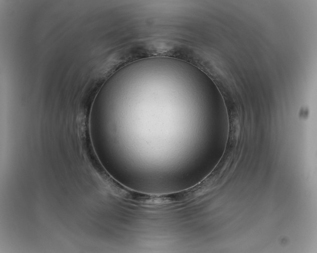 X0000096190274200802011414