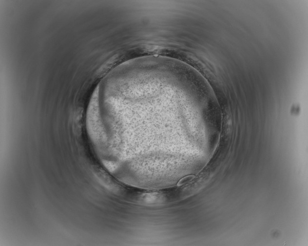 X0000096190275200802011414