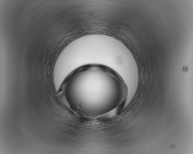 X0000096190276200802011414