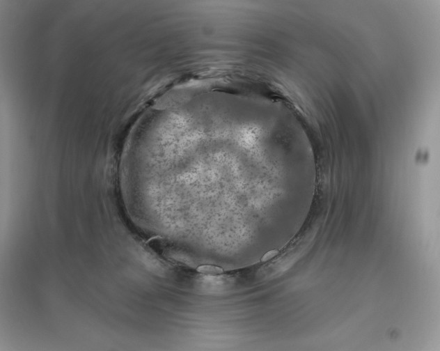 X0000096190277200802011414