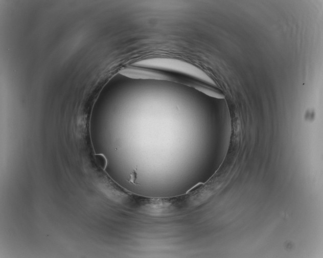 X0000096190278200802011414