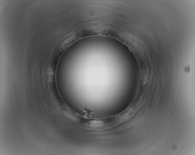 X0000096190279200802011414