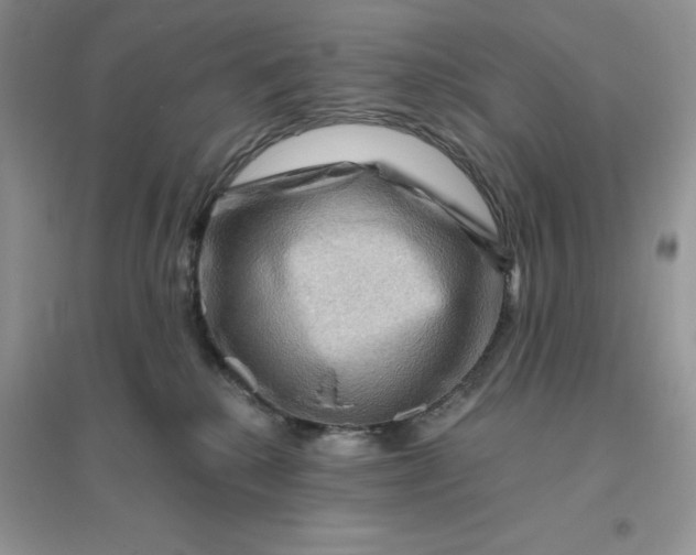 X0000096190280200802011414