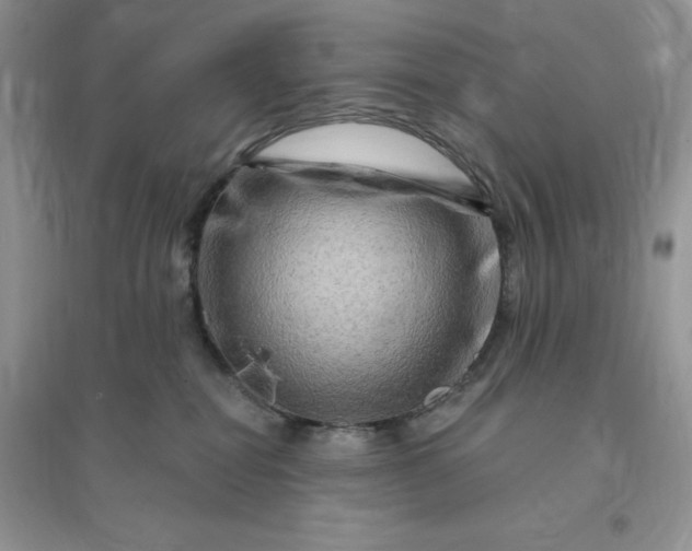 X0000096190282200802011414