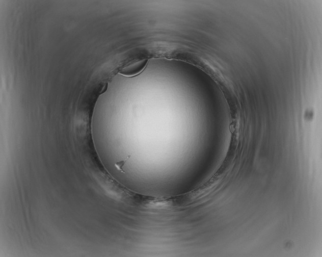 X0000096190283200802011414