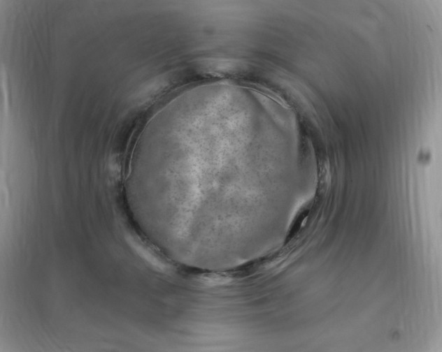 X0000096190284200802011414