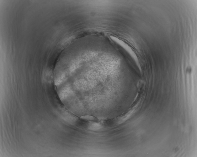 X0000096190285200802011414