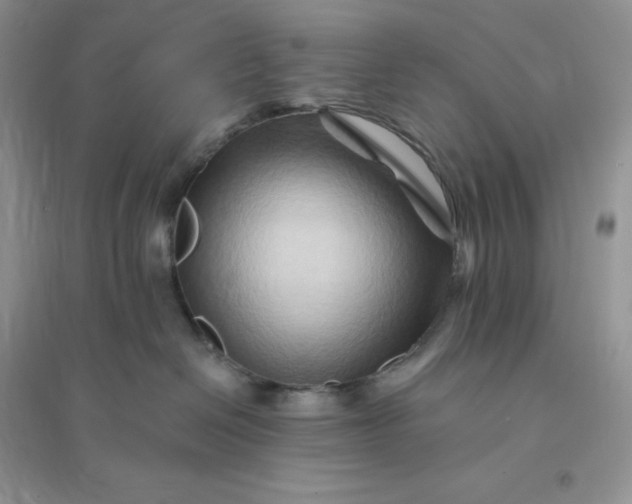 X0000096190286200802011414