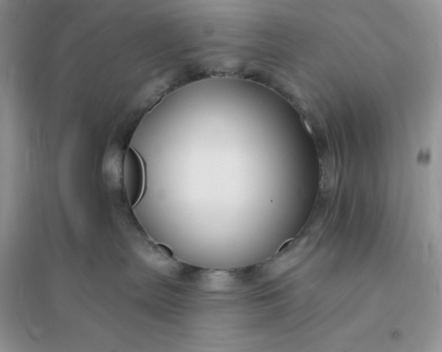 X0000096190287200802011414