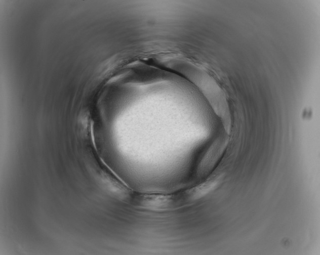 X0000096190288200802011414