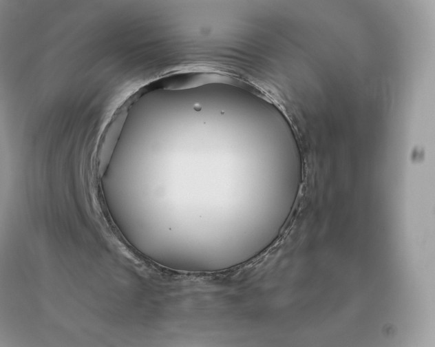 X0000096190289200802011413