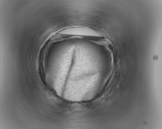 X0000096190290200802011413