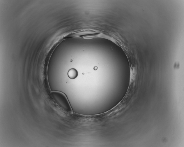 X0000096190291200802011413