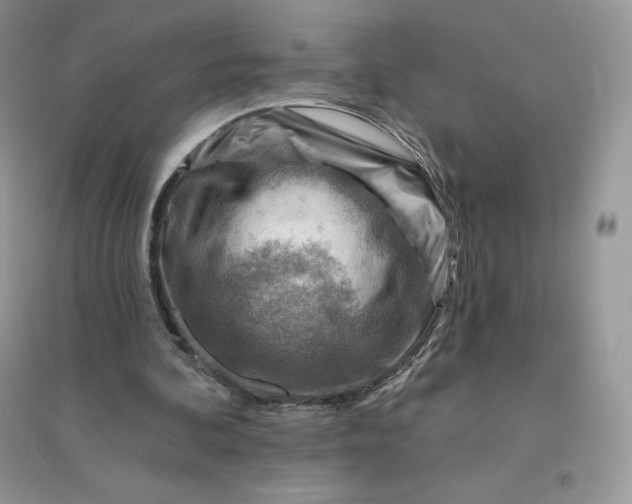 X0000096190292200802011413