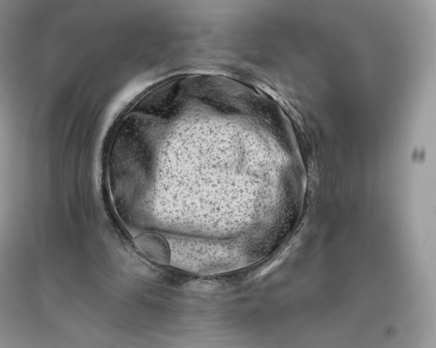 X0000096190294200802011413