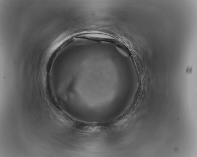 X0000096190295200802011413