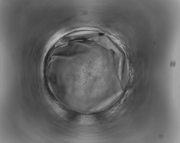 X0000096190296200802011413