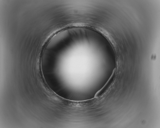 X0000096190297200802011413