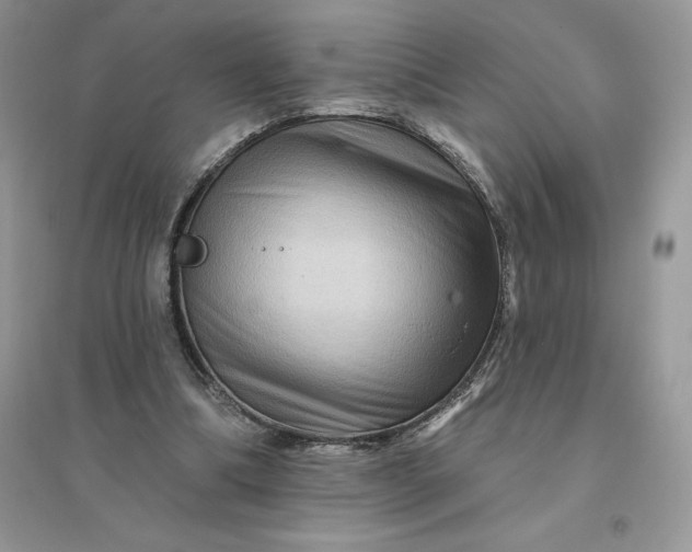 X0000096190298200802011413