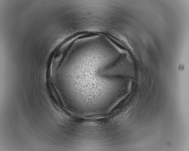 X0000096190299200802011413