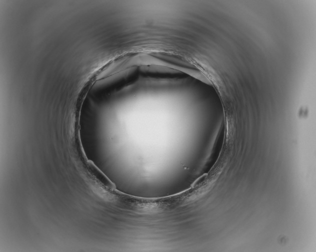 X0000096190301200802011413