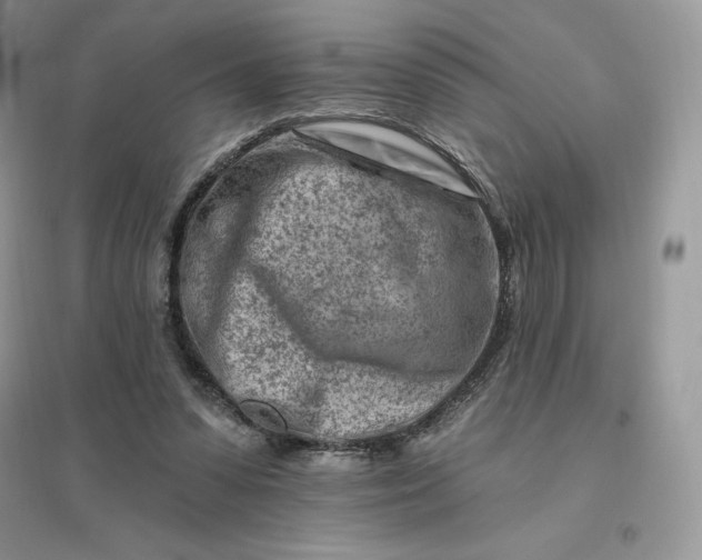 X0000096190303200802011413