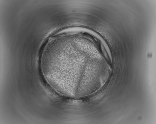 X0000096190304200802011413