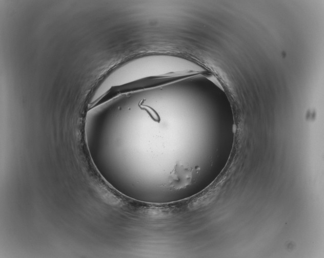 X0000096190305200802011413