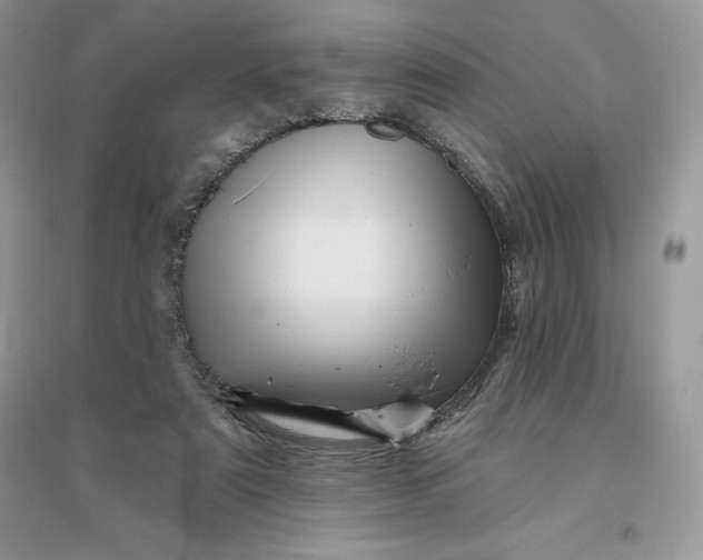 X0000096190307200802011413