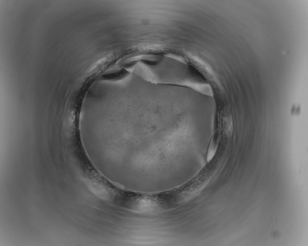 X0000096190308200802011413