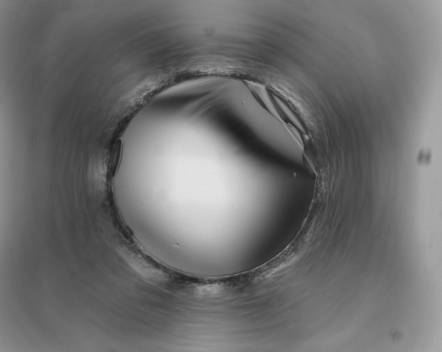 X0000096190309200802011413