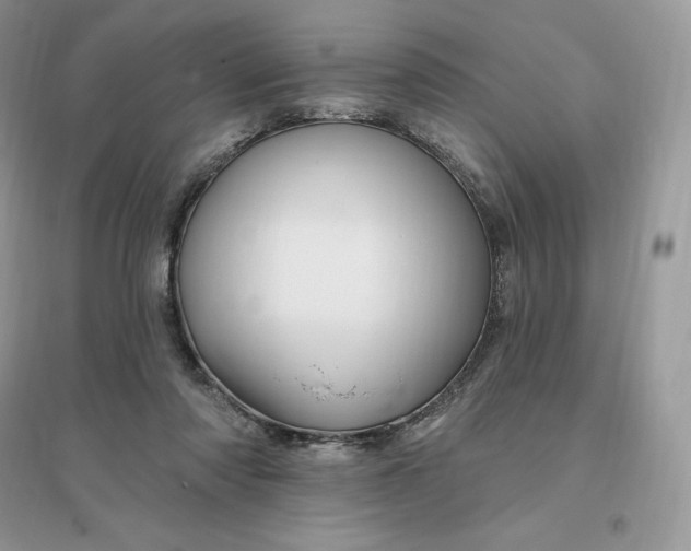 X0000096190310200802011413